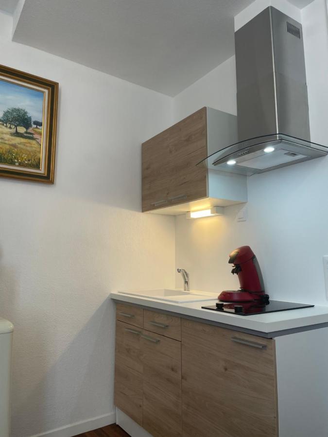 Maison Du Cloitre Couvent Des Carmes 纳博讷 外观 照片