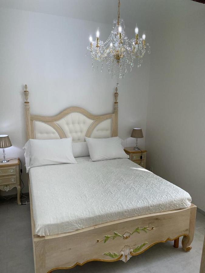 Maison Du Cloitre Couvent Des Carmes 纳博讷 外观 照片